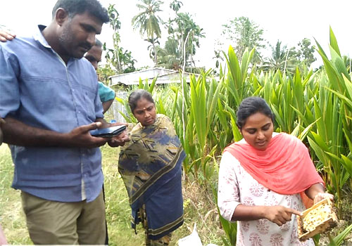 Sathy Block ATMA Farmers Visits (1)