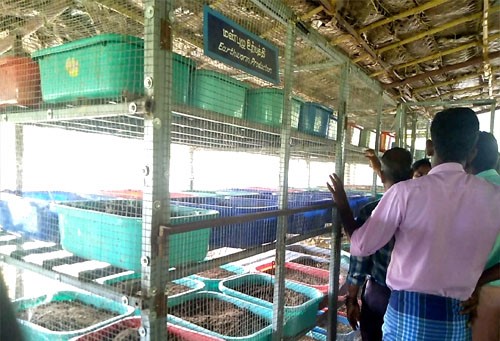 Sathy Block ATMA Farmers Visits (2)