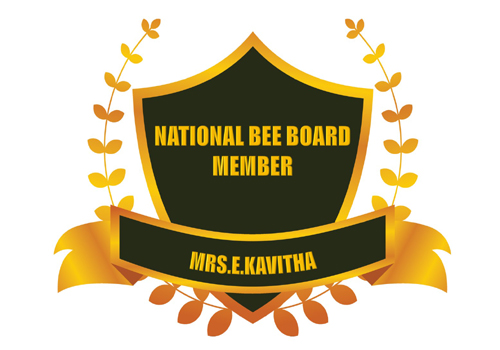 NBB Member1