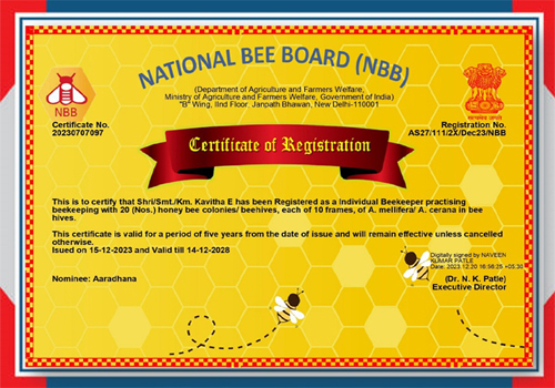 NBB Recognition
